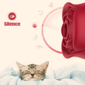 Rose Toy 10 modalità di aspirazione